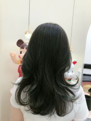 -IP SALON