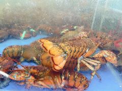-明记海鲜大排档(巽寮湾店)