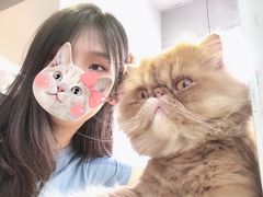 -Heymao猫咖.咖啡厅(东门店)