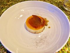 -迪拜帆船酒店海底餐厅