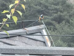 -云峰山自然风景区