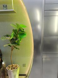 点击看大图 -不迫先生专业男士剪发