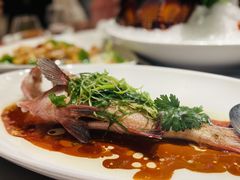 -金悦轩海鲜城(渔人码头店)