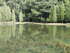 -广州市石门国家森林公园