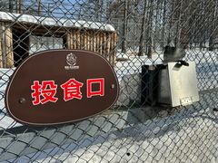 -横道河子东北虎林园