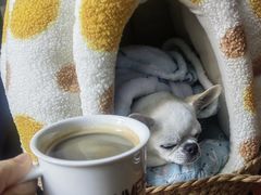 -Joymean coffee.见面咖啡