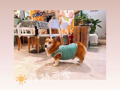 -小时光咖啡馆(北锣鼓巷店)