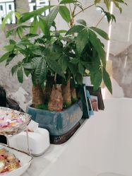 -LJOY丽锦造型·烫发染发