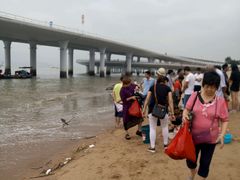 -演武大桥观景平台