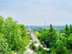 -北京西山国家森林公园