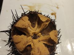 原壳活海胆-东莱馋房(陆家嘴店)