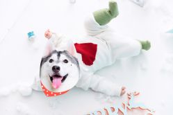 点击看大图 -幺幺BABY婚纱摄影