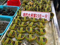 -大湾区中央湿地公园-十九涌