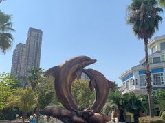 -海合安武汉极地海洋公园