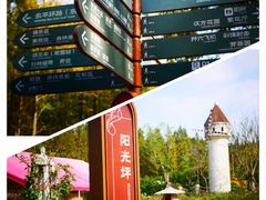 -东平国家森林公园