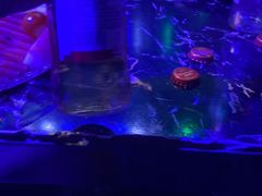 -唱吧麦颂KTV(方庄店)