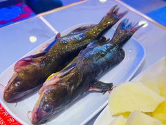 -徐家屯铁锅炖(宋家庄店)