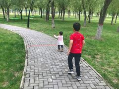 -洨河生态公园