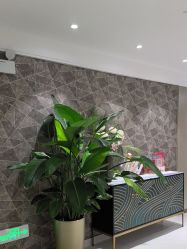 -云南吴氏嘉美医疗美容医院