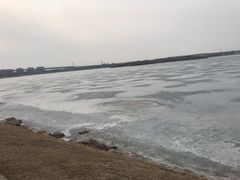 -丁香湖公园
