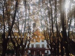 -四川大学(望江校区)