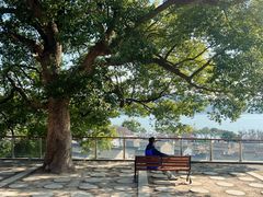 -东钱湖旅游度假区