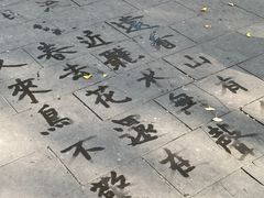 -温江公园