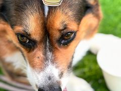 -本来不该有·鲜果咖啡(大梅沙店)