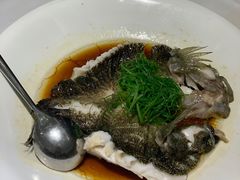 -圆苑(静安寺店)