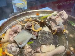 鲜人参锅底-千岛蚝高压锅生蚝·人参火锅(白云万达店)