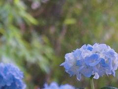 -常州古运河南大街文化旅游区-人民公园