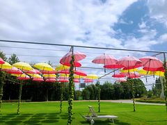 -太阳岛度假酒店