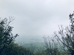 -紫金山山顶公园