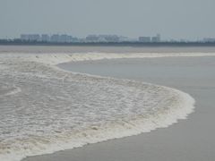 -观潮胜地公园