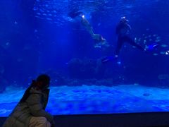 -石家庄海洋公园