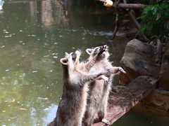 -长鹿旅游休博园