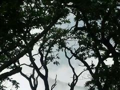 android_upload_pic-三块石国家森林公园