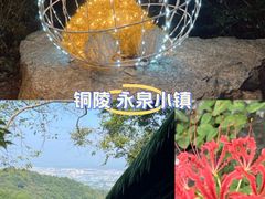 -永泉忆江南12景区