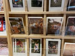 -猫的天空之城概念书店(苏州平江店)