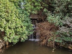 -杭州第一世界大酒店·云曼温泉