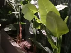 -涟LIAN·泰式按摩·MASSAGE·SPA(华强北店)