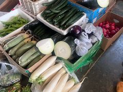 -岳各庄批发市场(西四环中路店)