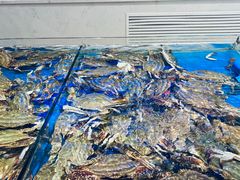 -北塘海鲜·天津菜(大光明桥旗舰店)