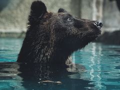 -上海野生动物园