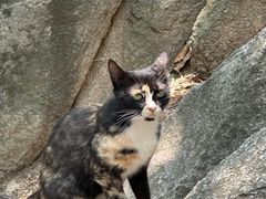 -天津盘山风景名胜区