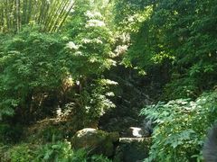 -大雁山风景区