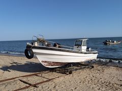 -鑫渔港海鲜本地菜·山海关浑锅(东戴河店)