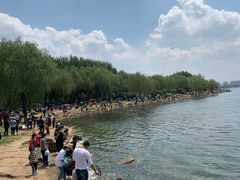 -丁香湖公园