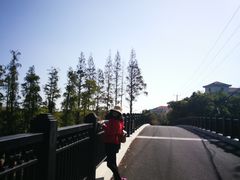 -上海长兴岛郊野公园