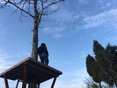 -北五省会馆